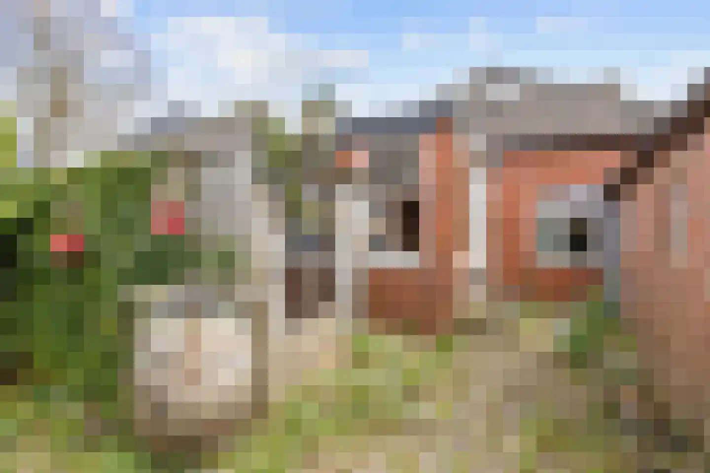 Departementsstraat 5 Uithuizen thumbnail 34