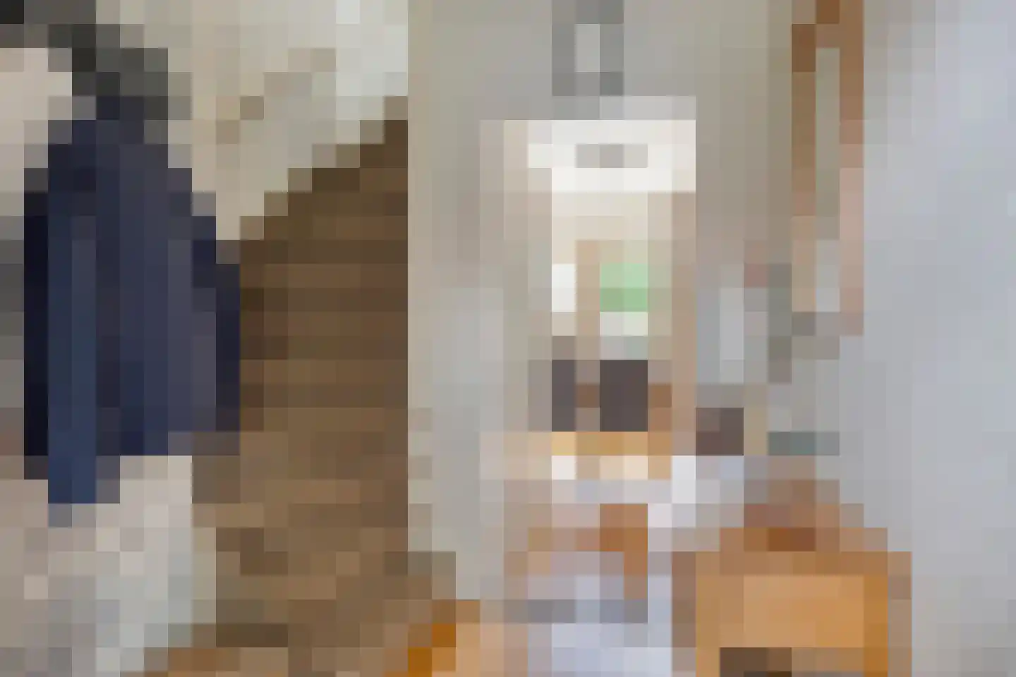 Deputé Petersstraat 19 Oirlo thumbnail 4