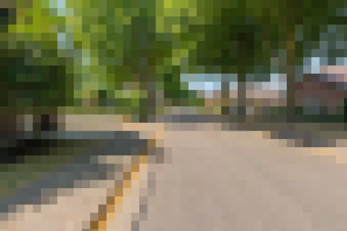 Deputé Petersstraat 26 Oirlo thumbnail 7