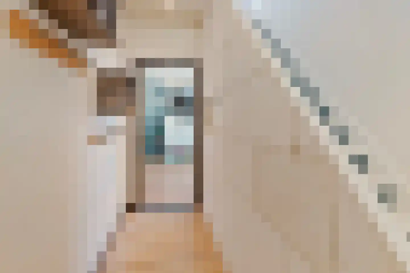 Deputé Petersstraat 26 Oirlo thumbnail 9