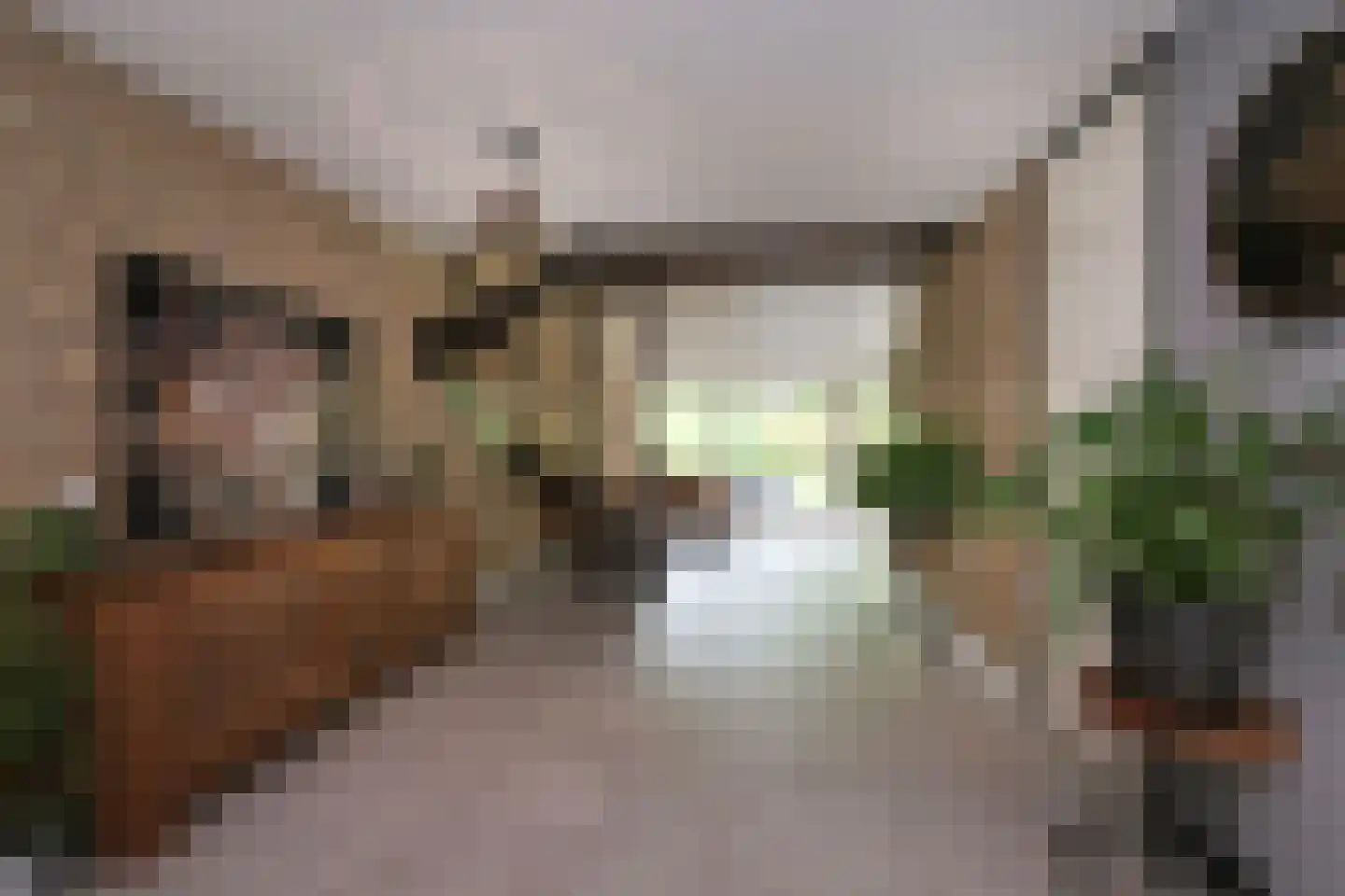 Der Boede 10 Almelo thumbnail 18