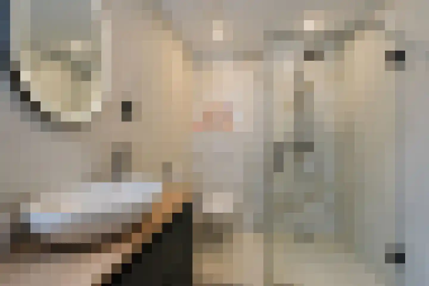 Der Boede 10 Almelo thumbnail 24