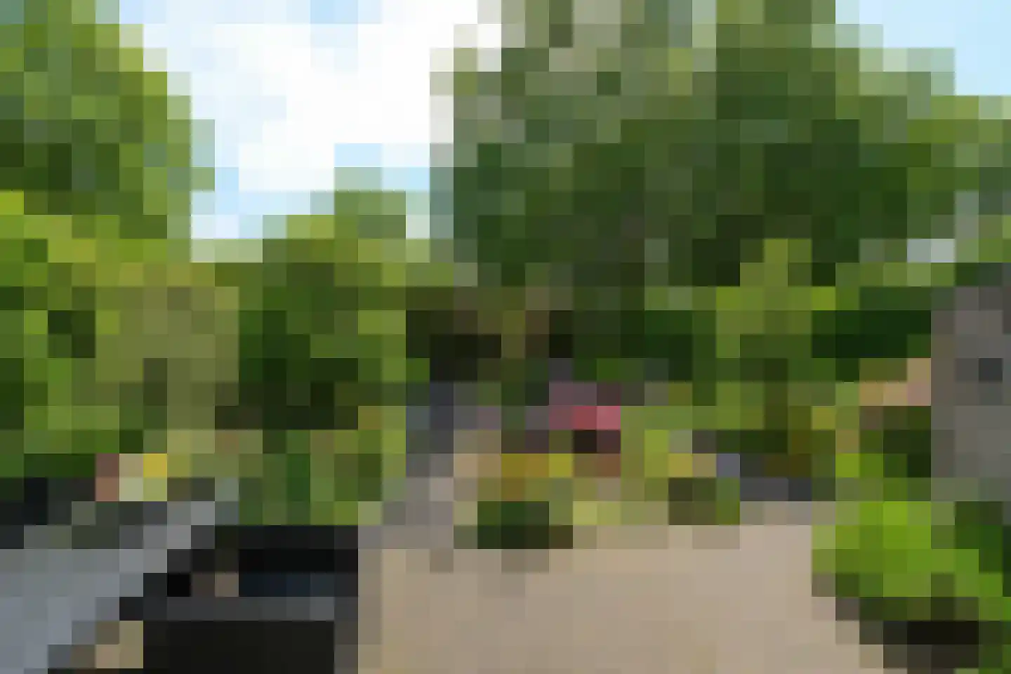Der Boede 10 Almelo thumbnail 27