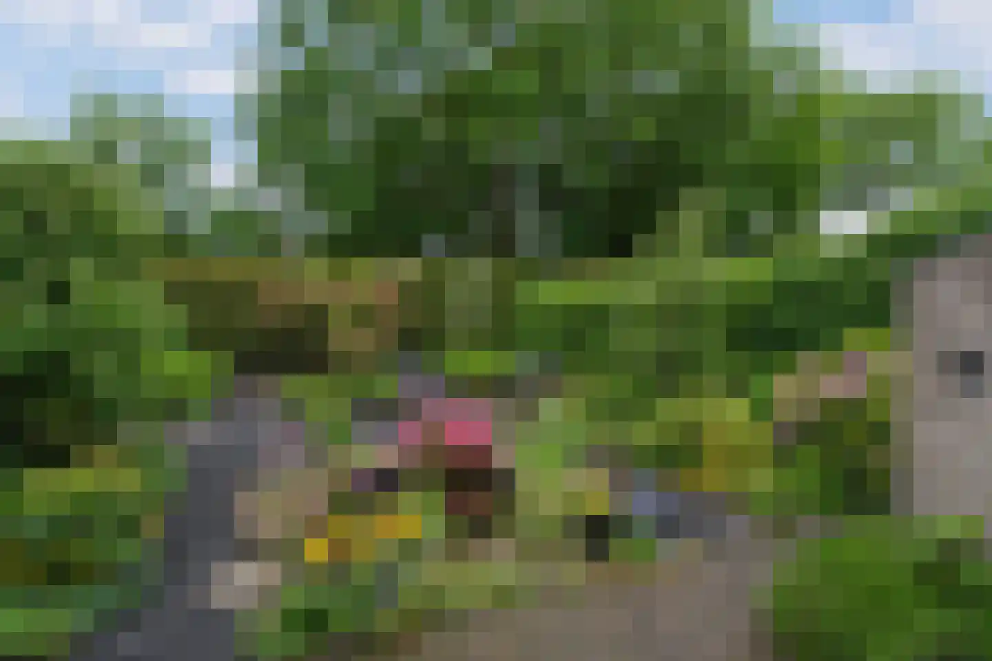 Der Boede 10 Almelo thumbnail 28