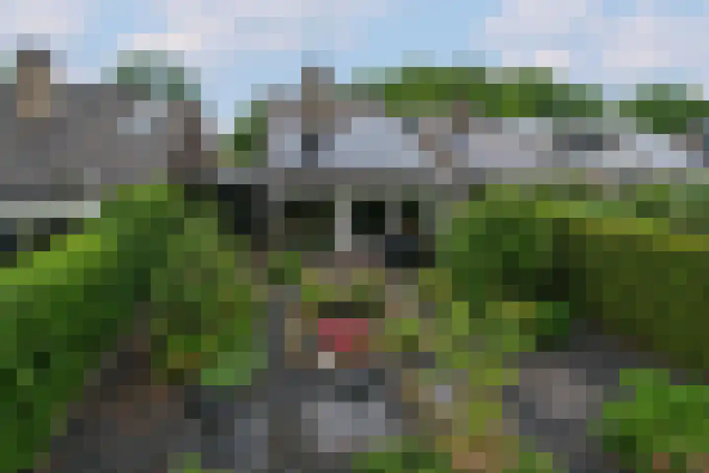 Der Boede 10 Almelo foto 3