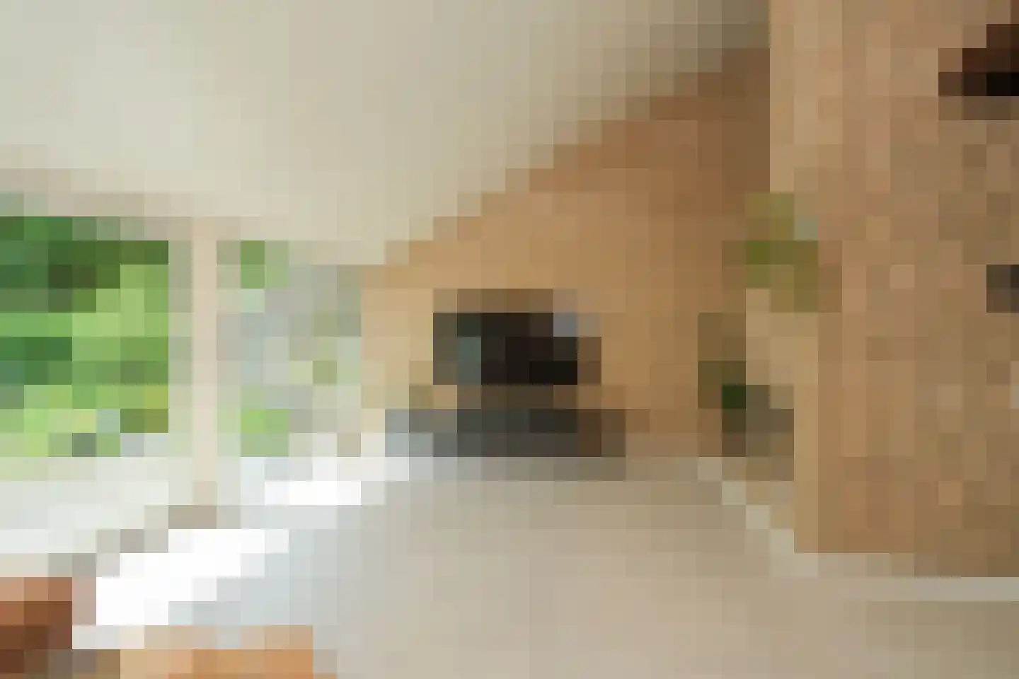 Der Boede 10 Almelo thumbnail 6