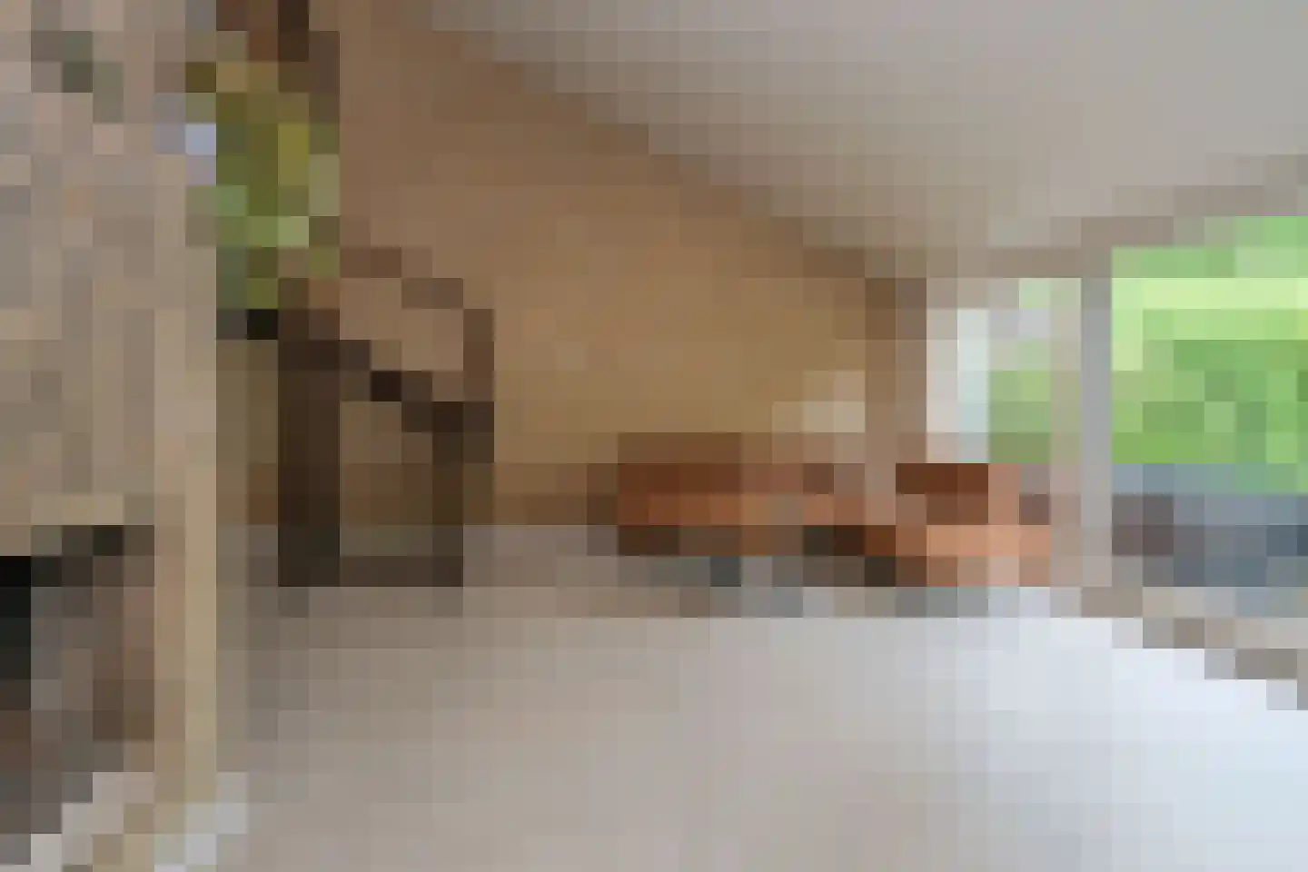 Der Boede 10 Almelo thumbnail 7