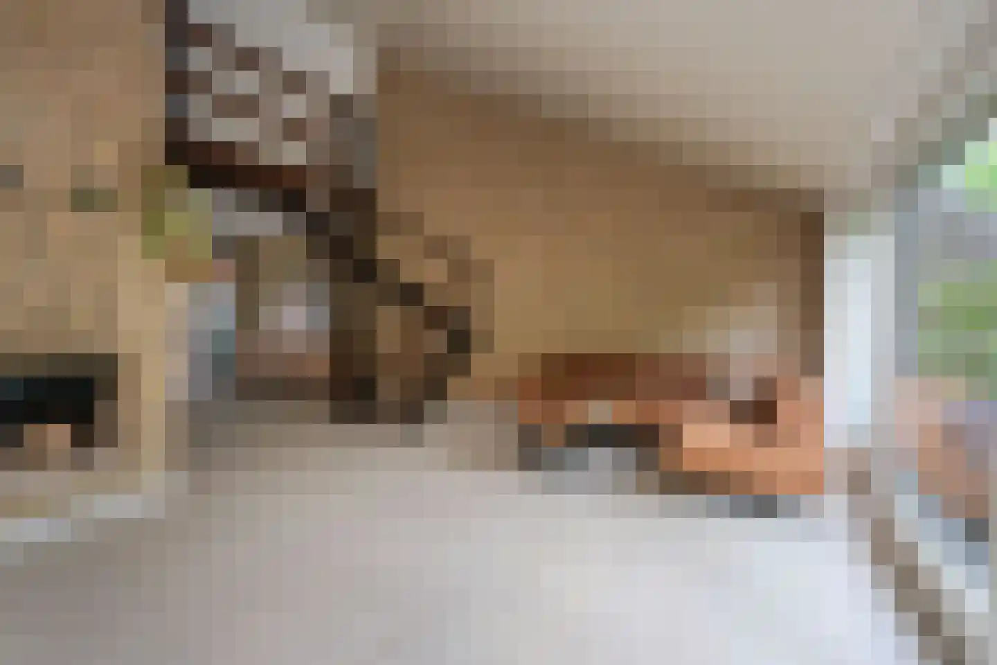 Der Boede 10 Almelo thumbnail 8