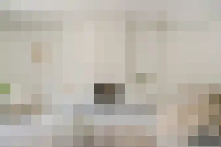 Derckinck 14 Den Ham thumbnail 12