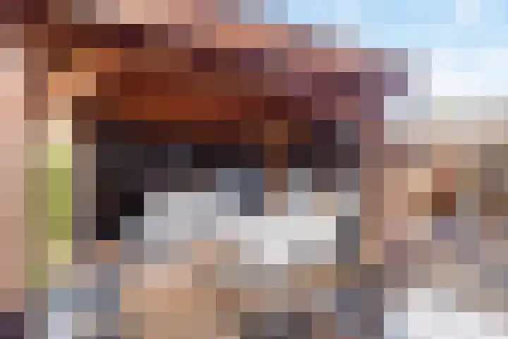 Derckinck 14 Den Ham thumbnail 14