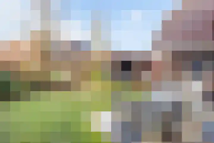 Derckinck 14 Den Ham thumbnail 15