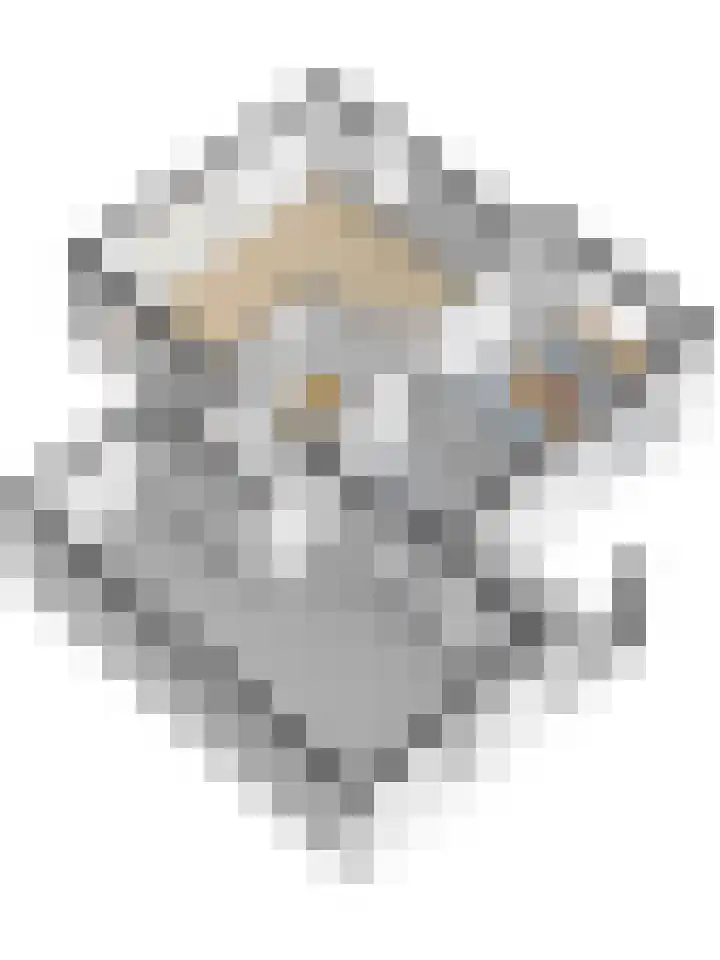 Derckinck 14 Den Ham thumbnail 19