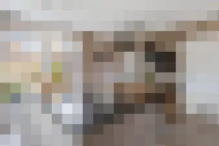 Derckinck 14 Den Ham thumbnail 6