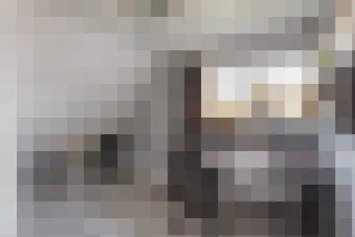 Derckinck 14 Den Ham thumbnail 9