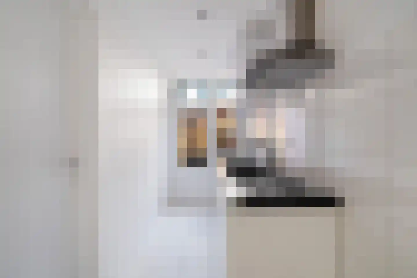 Dercksenstraat 35 Den Haag thumbnail 9