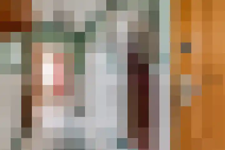 Derde Broekdijk 3 A Aalten thumbnail 12