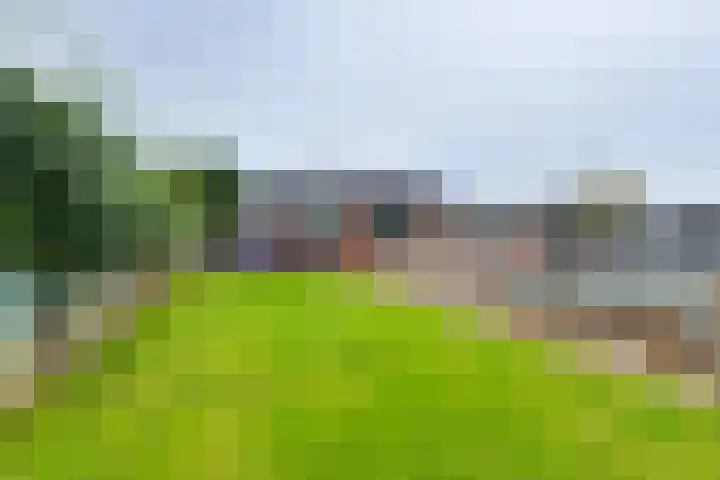 Derde Broekdijk 3 A Aalten thumbnail 21