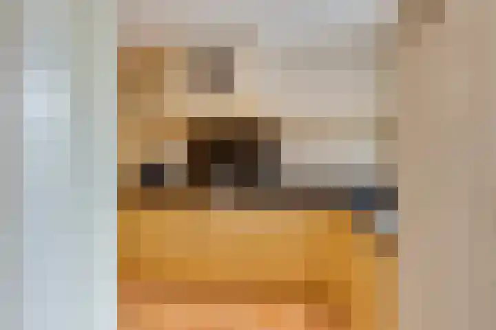 Derde Broekdijk 3 A Aalten thumbnail 4
