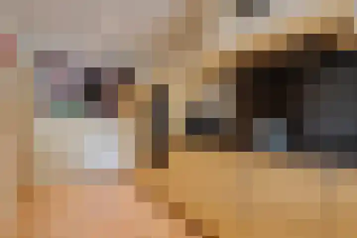Derde Broekdijk 3 A Aalten thumbnail 8