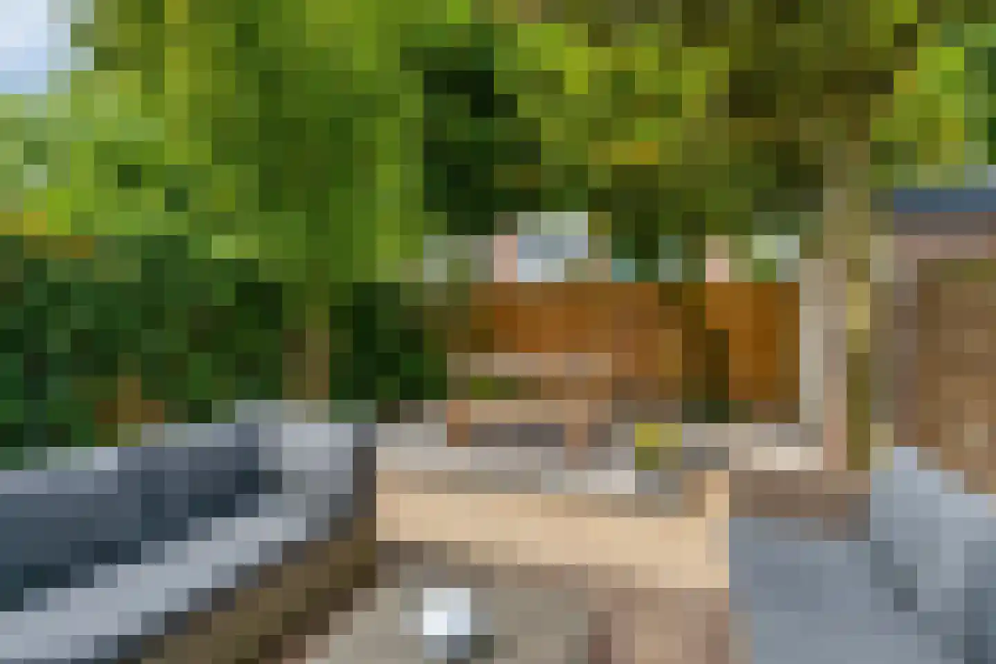 Derde Buitenpepers 10 's-Hertogenbosch thumbnail 11
