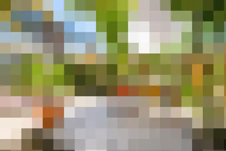 Derde Buitenpepers 10 's-Hertogenbosch thumbnail 16