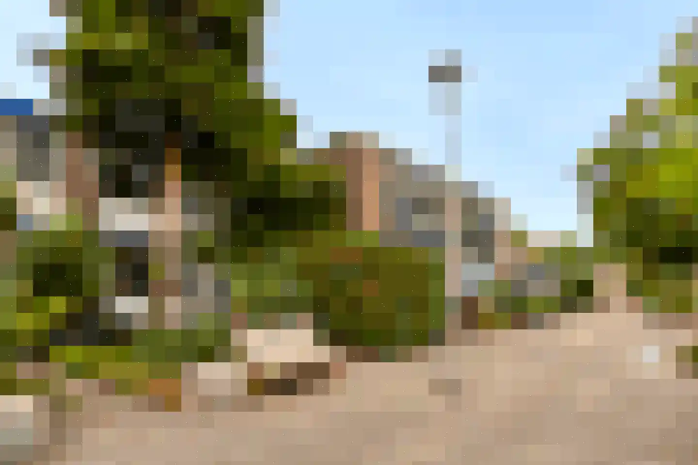 Derde Buitenpepers 10 's-Hertogenbosch thumbnail 25