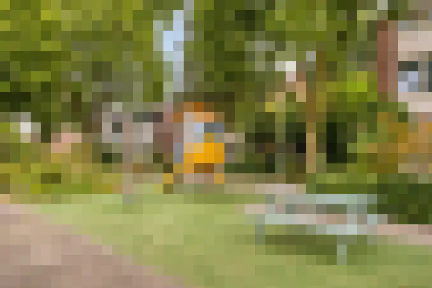 Derde Buitenpepers 10 's-Hertogenbosch thumbnail 26