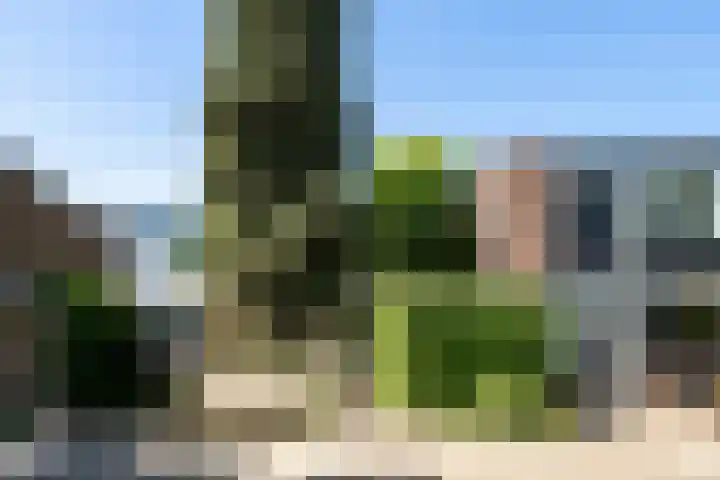 Derde Buitenpepers 10 's-Hertogenbosch thumbnail 35