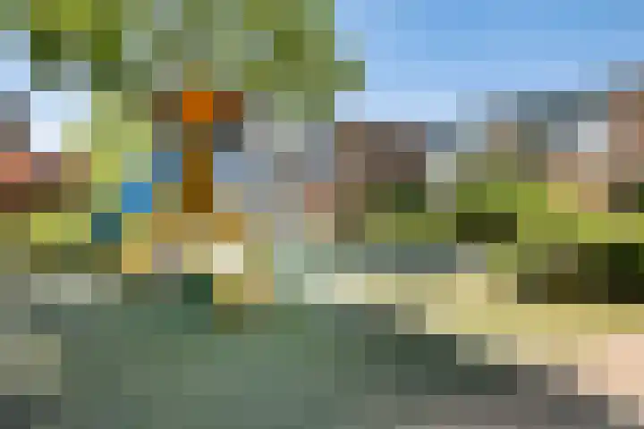 Derde Buitenpepers 10 's-Hertogenbosch thumbnail 36