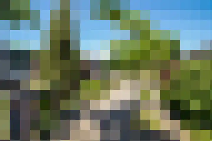 Derde Buitenpepers 10 's-Hertogenbosch thumbnail 38