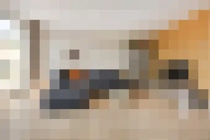 Derde Buitenpepers 2 's-Hertogenbosch thumbnail 14