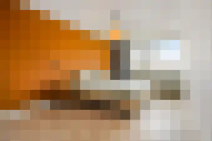 Derde Buitenpepers 2 's-Hertogenbosch thumbnail 26