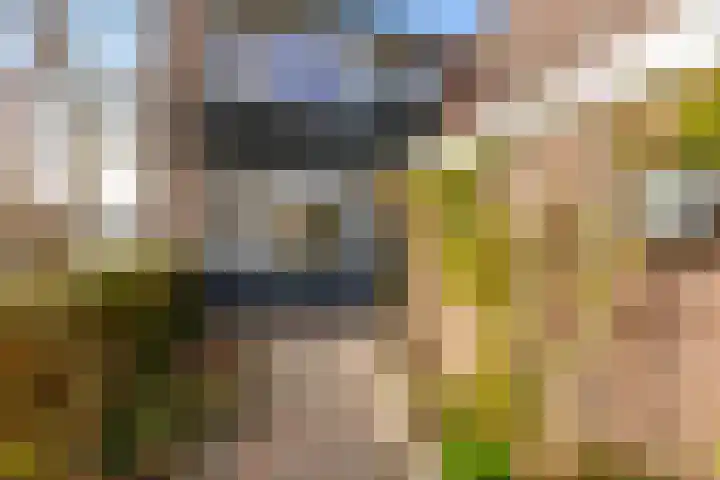 Derde Buitenpepers 2 's-Hertogenbosch thumbnail 6