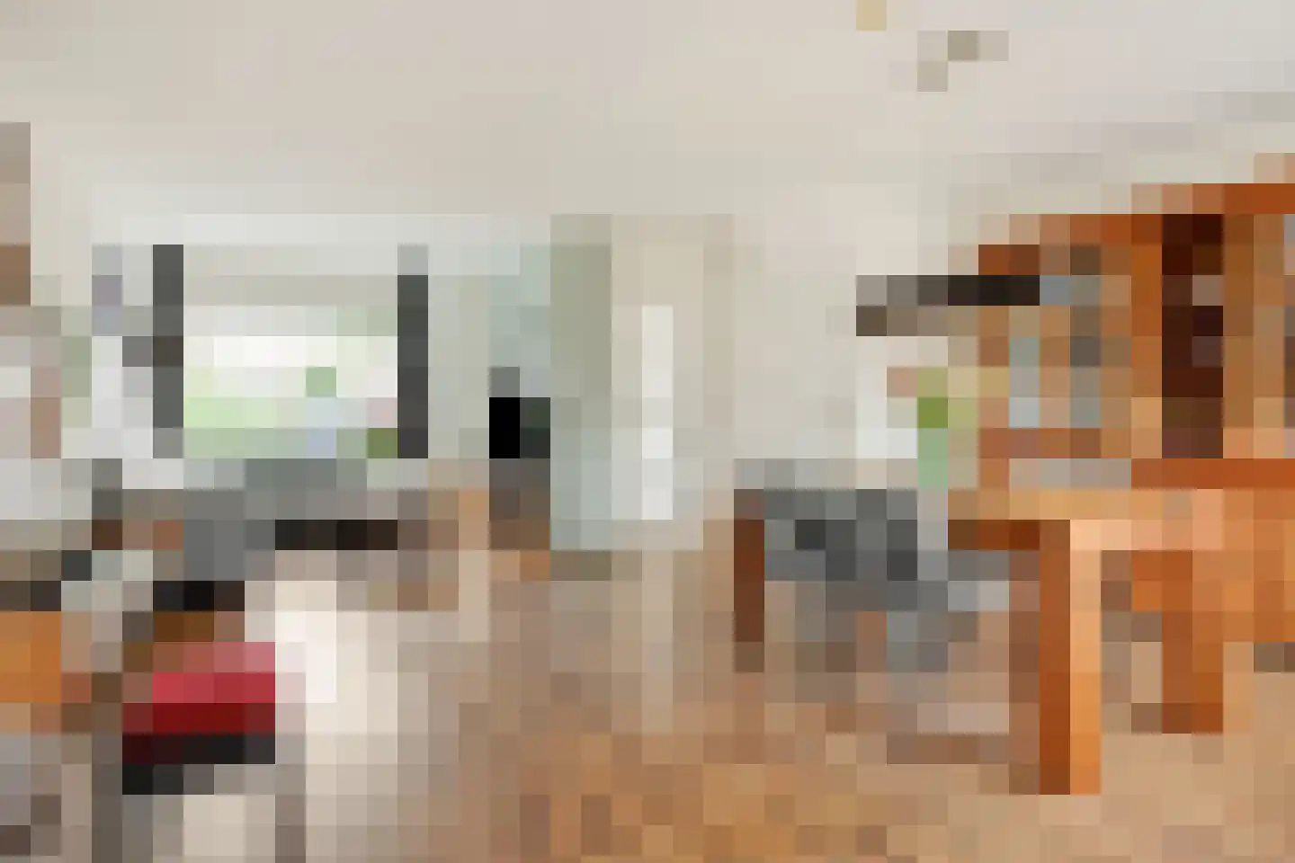 Derde Donk 16 's-Hertogenbosch thumbnail 9