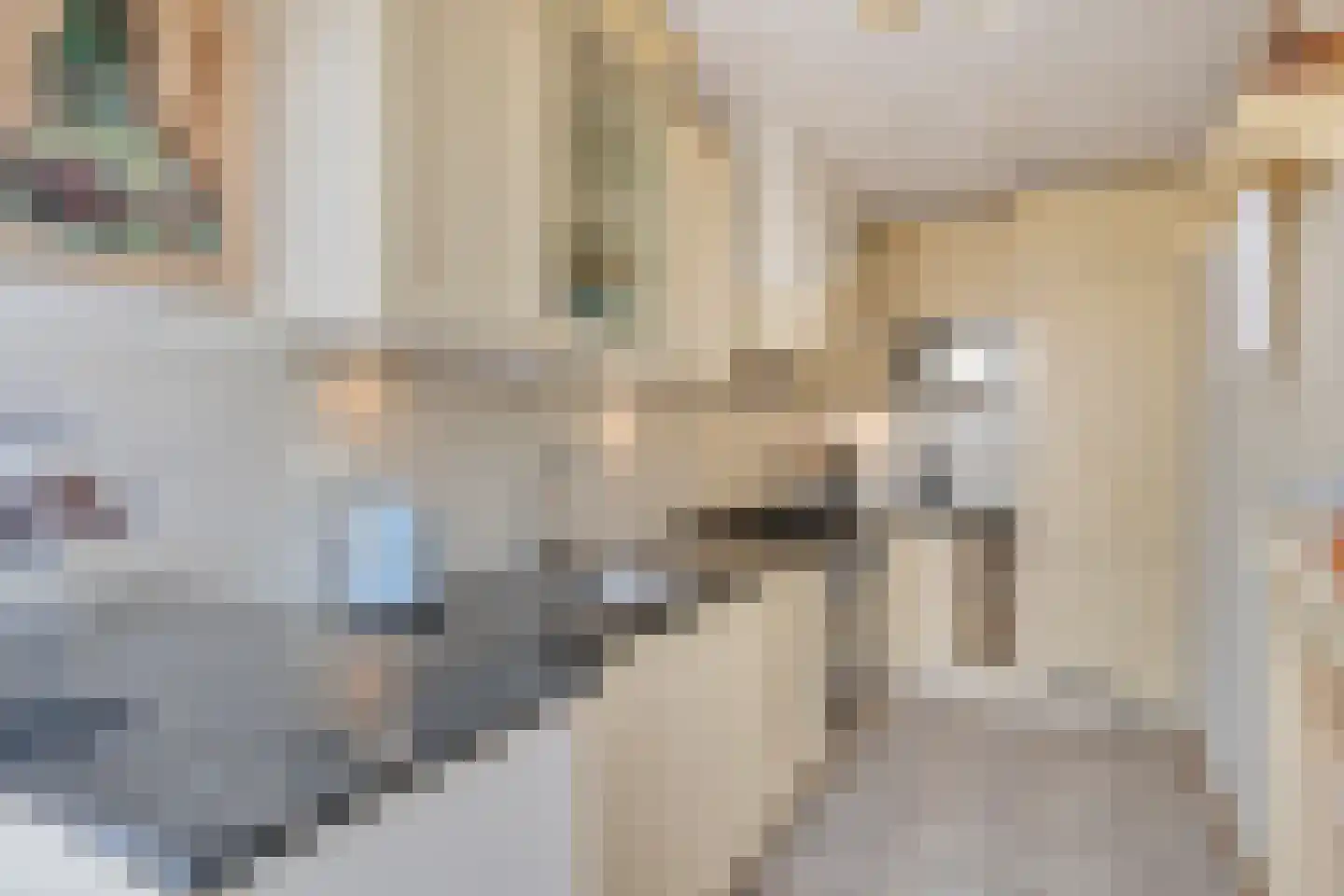 Derde Donk 57 's-Hertogenbosch thumbnail 21