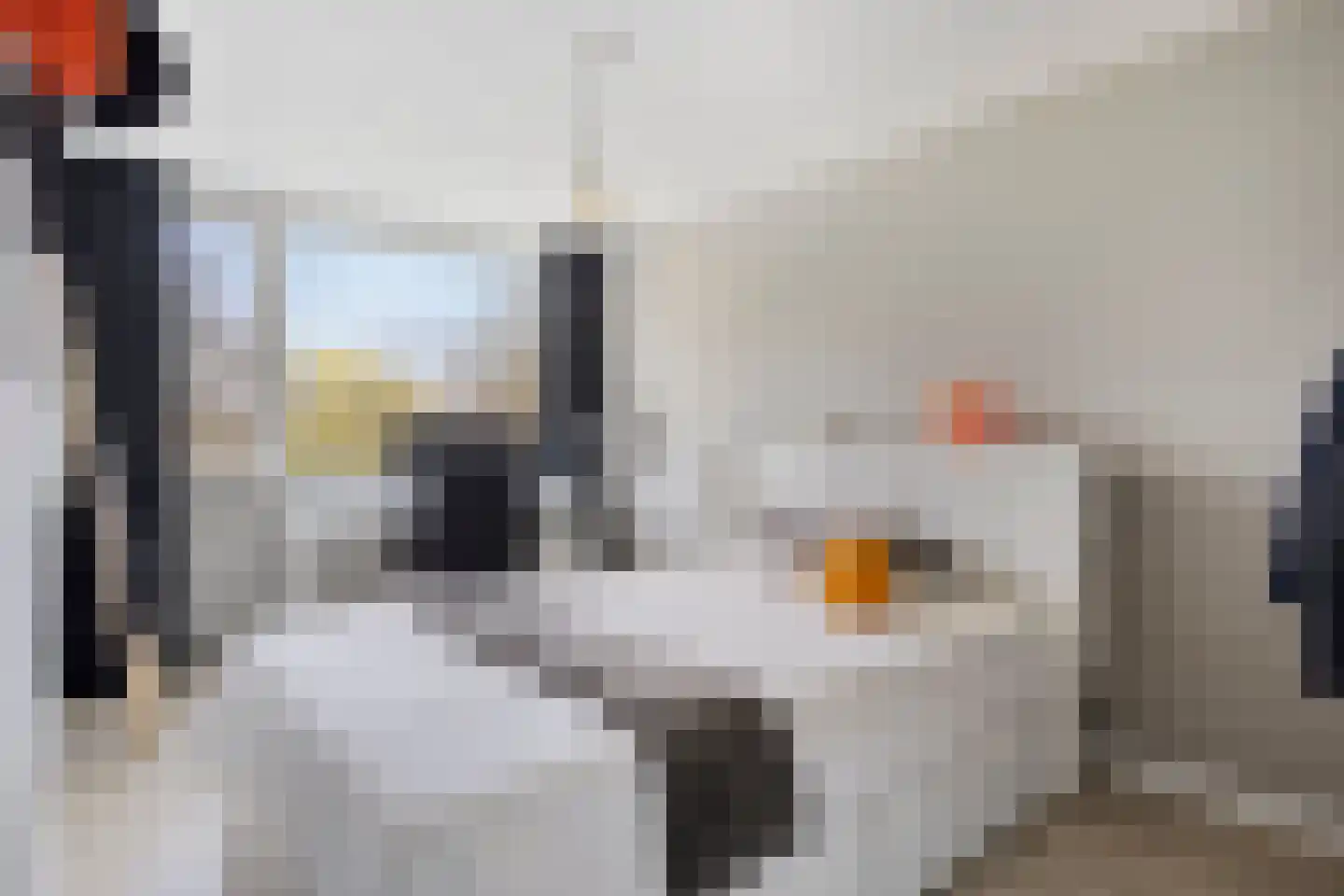 Derde Donk 57 's-Hertogenbosch thumbnail 26