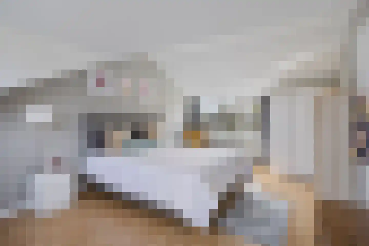Derde Donk 57 's-Hertogenbosch thumbnail 34