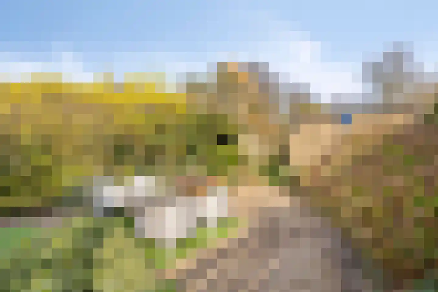 Derde Donk 57 's-Hertogenbosch thumbnail 4