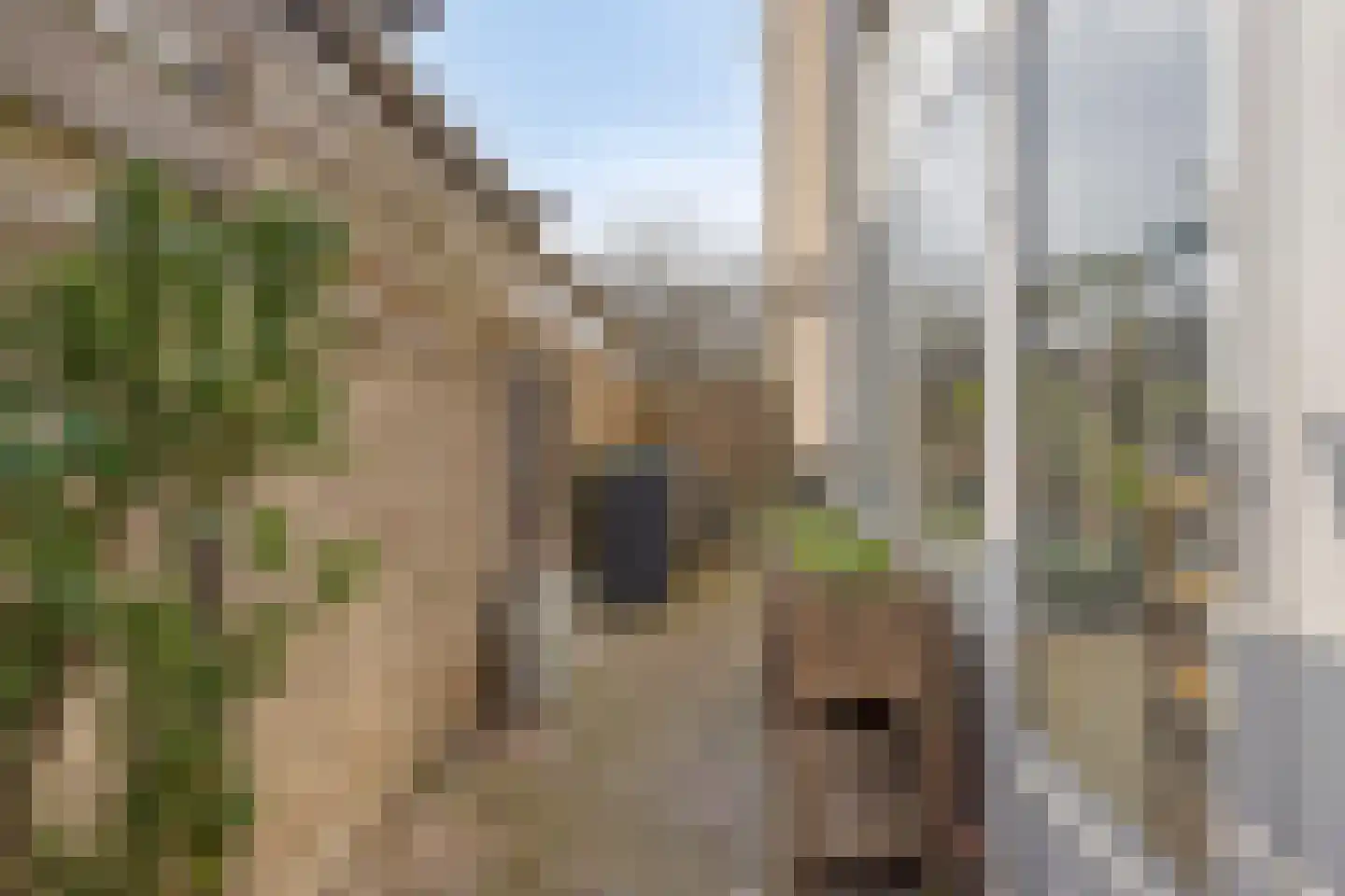 Derde Donk 57 's-Hertogenbosch thumbnail 44