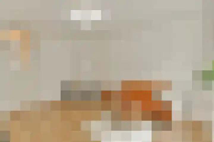 Derde Egelantiersdwarsstraat 11 2 Amsterdam thumbnail 5