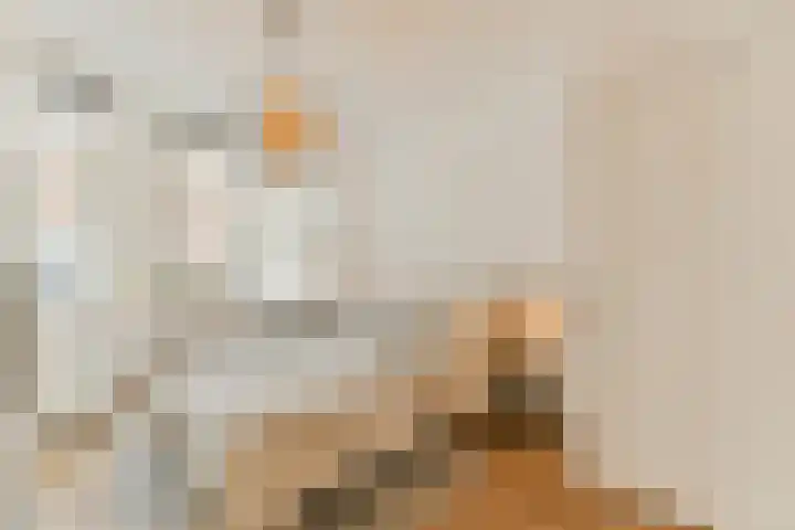 Derde Egelantiersdwarsstraat 11 2 Amsterdam thumbnail 8