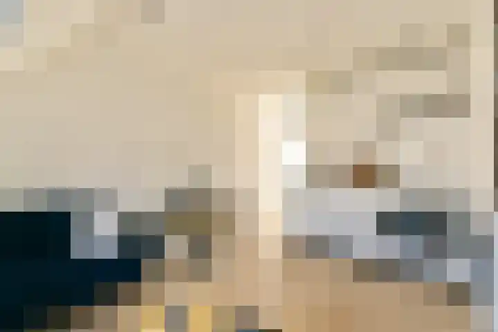 Derde Egelantiersdwarsstraat 11 3 Amsterdam thumbnail 4