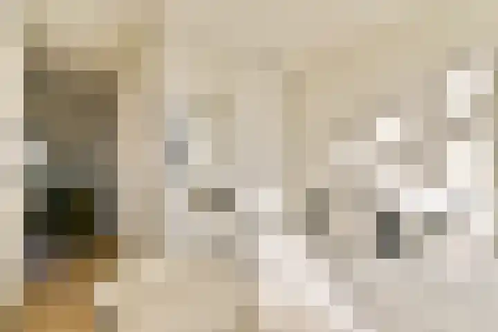 Derde Egelantiersdwarsstraat 11 3 Amsterdam thumbnail 7
