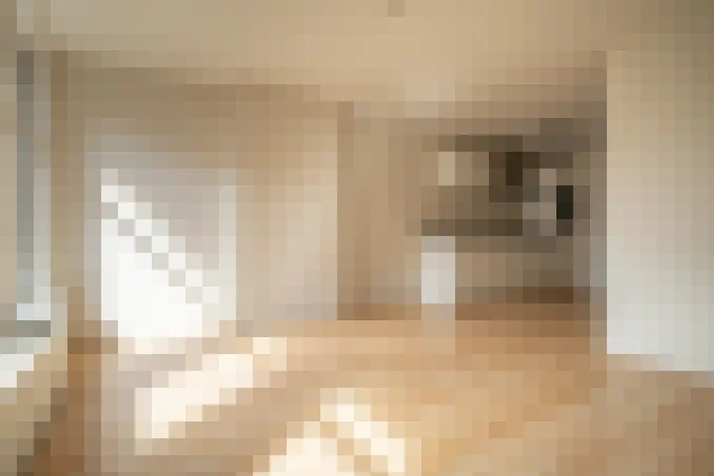Derde Egelantiersdwarsstraat 20 2 Amsterdam thumbnail 11
