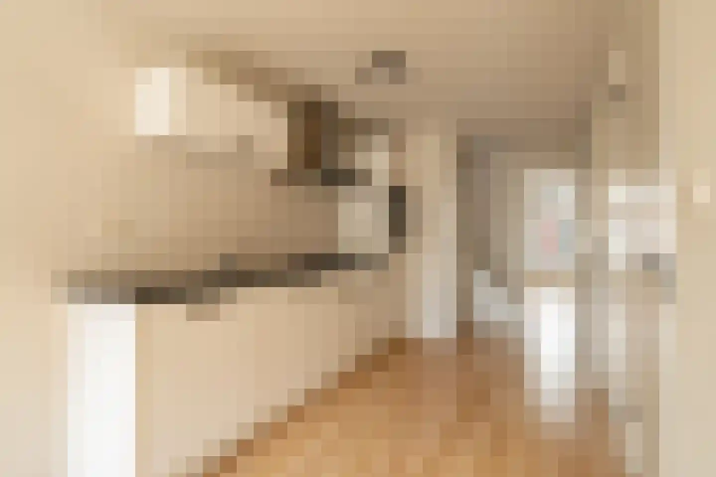 Derde Egelantiersdwarsstraat 20 2 Amsterdam thumbnail 12
