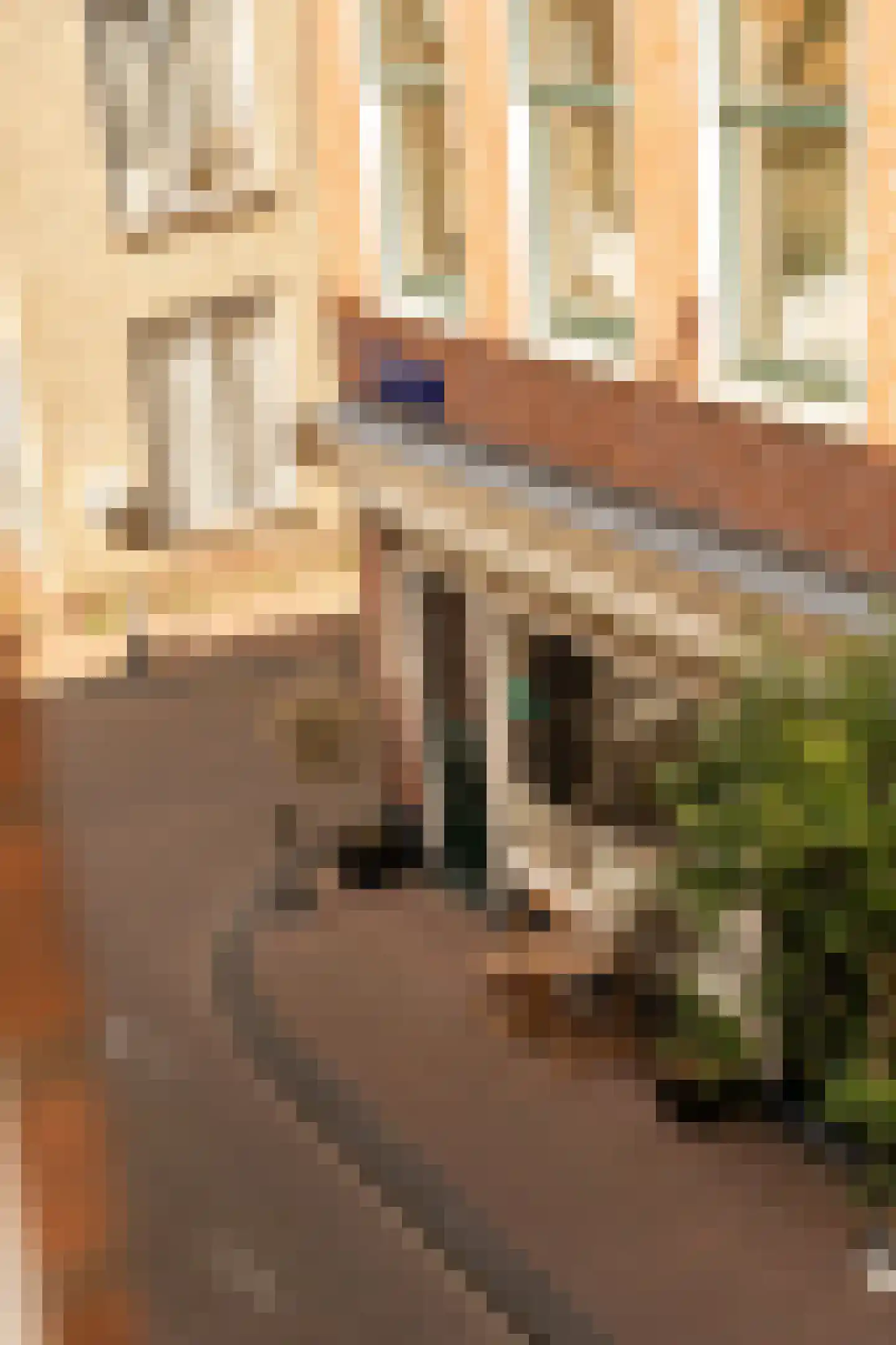 Derde Egelantiersdwarsstraat 20 2 Amsterdam thumbnail 15