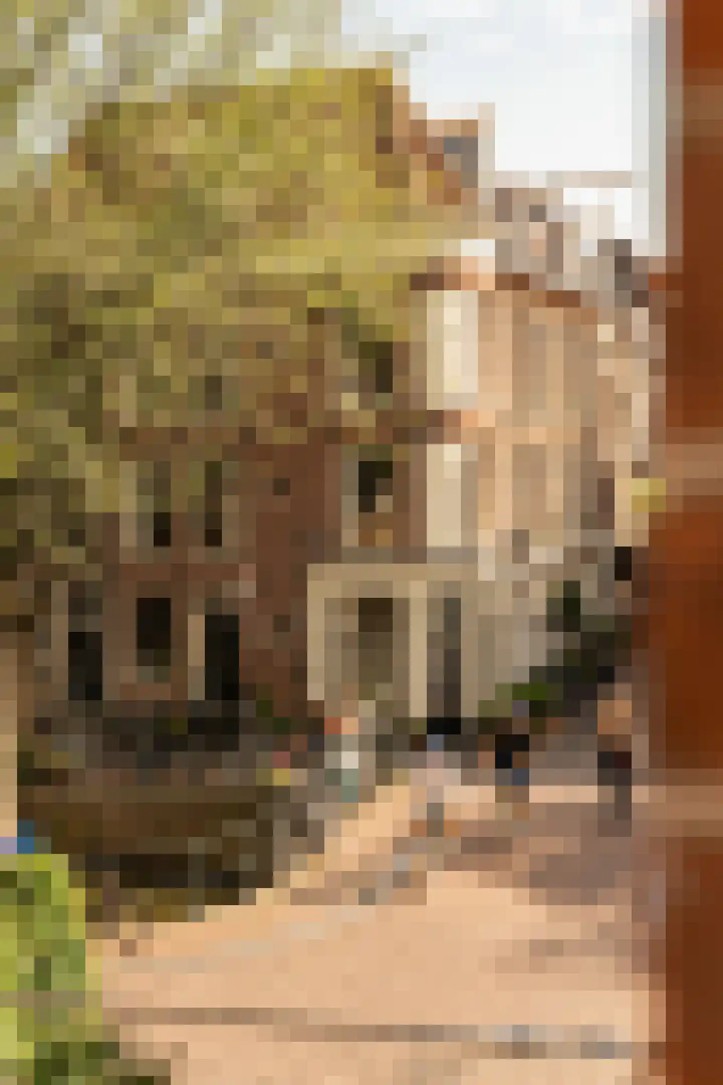 Derde Egelantiersdwarsstraat 20 2 Amsterdam thumbnail 16