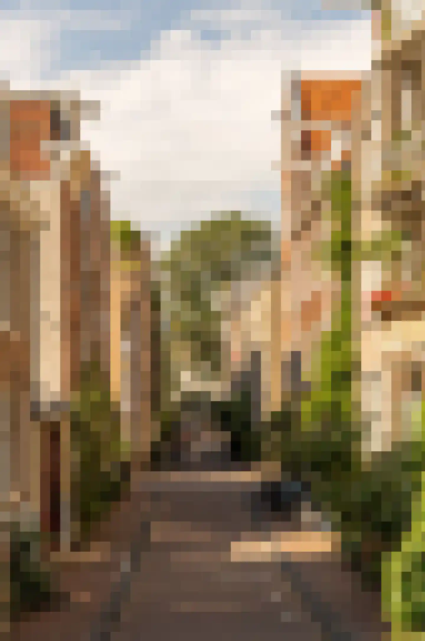 Derde Egelantiersdwarsstraat 20 2 Amsterdam thumbnail 32