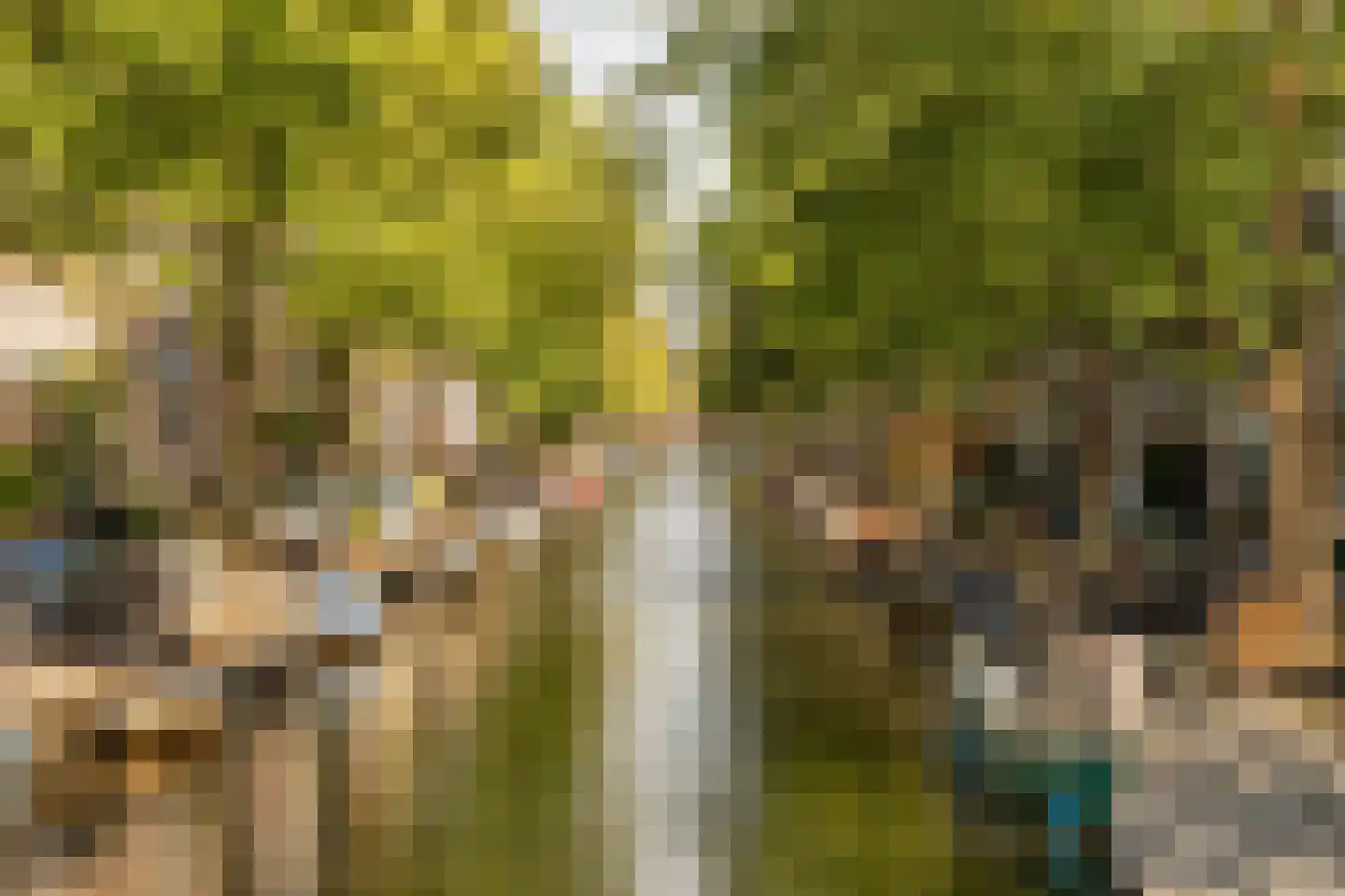 Derde Egelantiersdwarsstraat 20 2 Amsterdam thumbnail 33