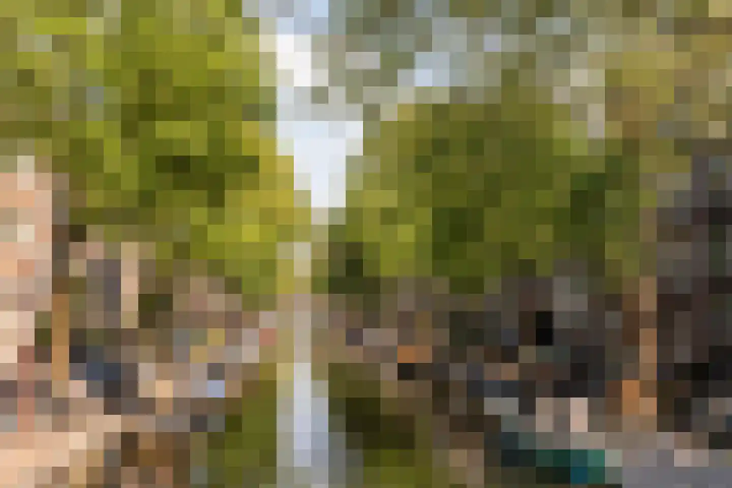 Derde Egelantiersdwarsstraat 20 2 Amsterdam thumbnail 34